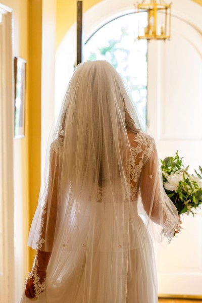 bride from the back a beautiful photographs with the veil